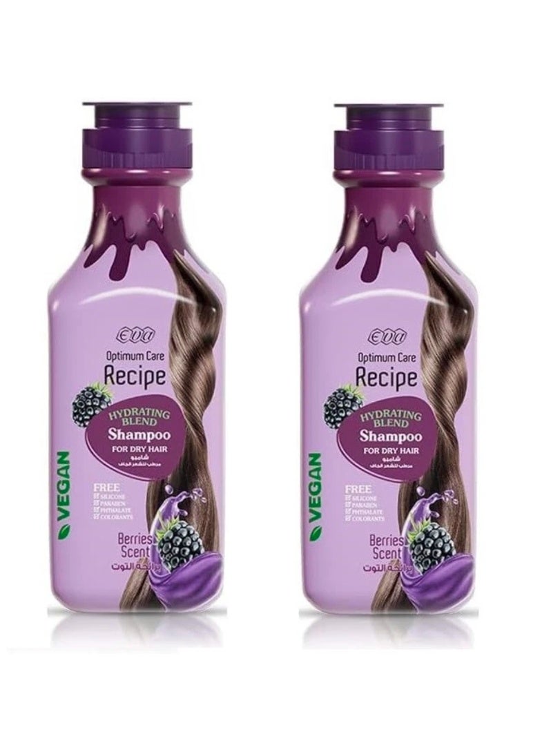 Eva Shampoo for Dry Hair, BERRIES Scent, 370ml x 2 / 740ml (2 pieces)